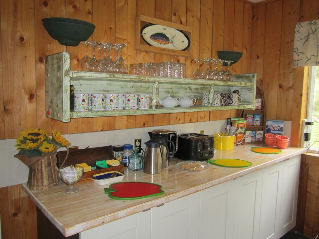 Dream Catcher Inn Valemount Extérieur photo