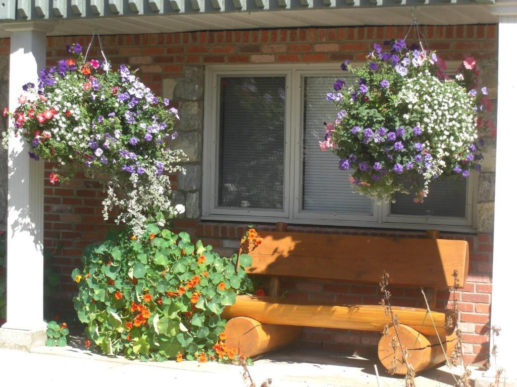 Dream Catcher Inn Valemount Extérieur photo